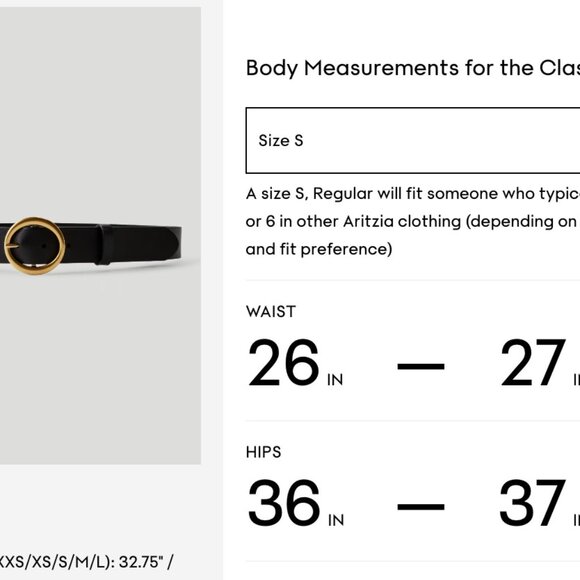 Aritzia Auxilliary Classic Black Belt - Picture 10 of 10